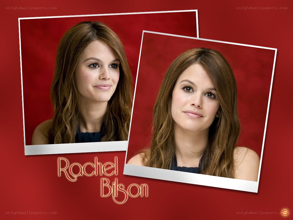 Rachel Bilson portrait collage