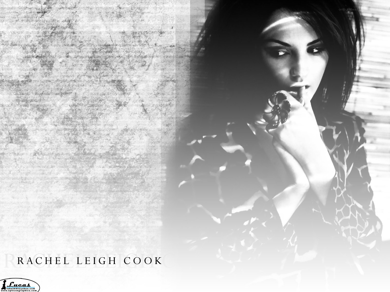 Rachel Leigh Cook portrait