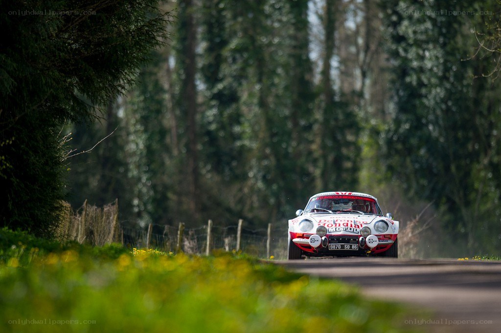 Racing car on a forest road