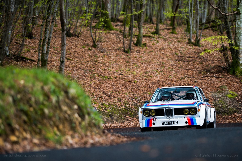 Racing car on forest road