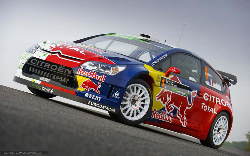 Racing Car on Track — Red, Dynamic, Photograph, Red Bull