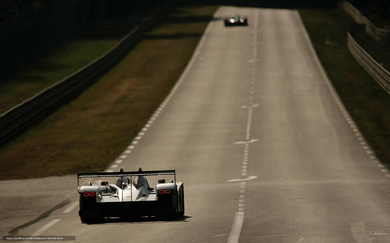 racing cars on a track