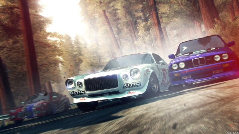 Racing Cars on Forest Road