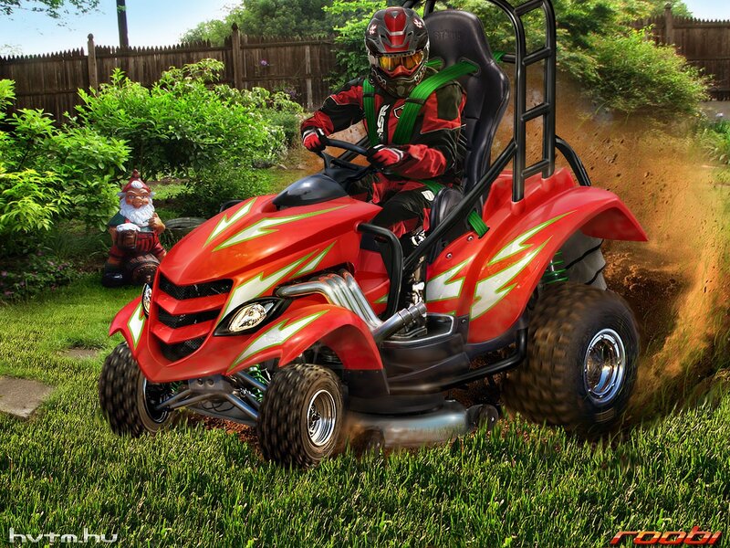 Racing go-kart in garden