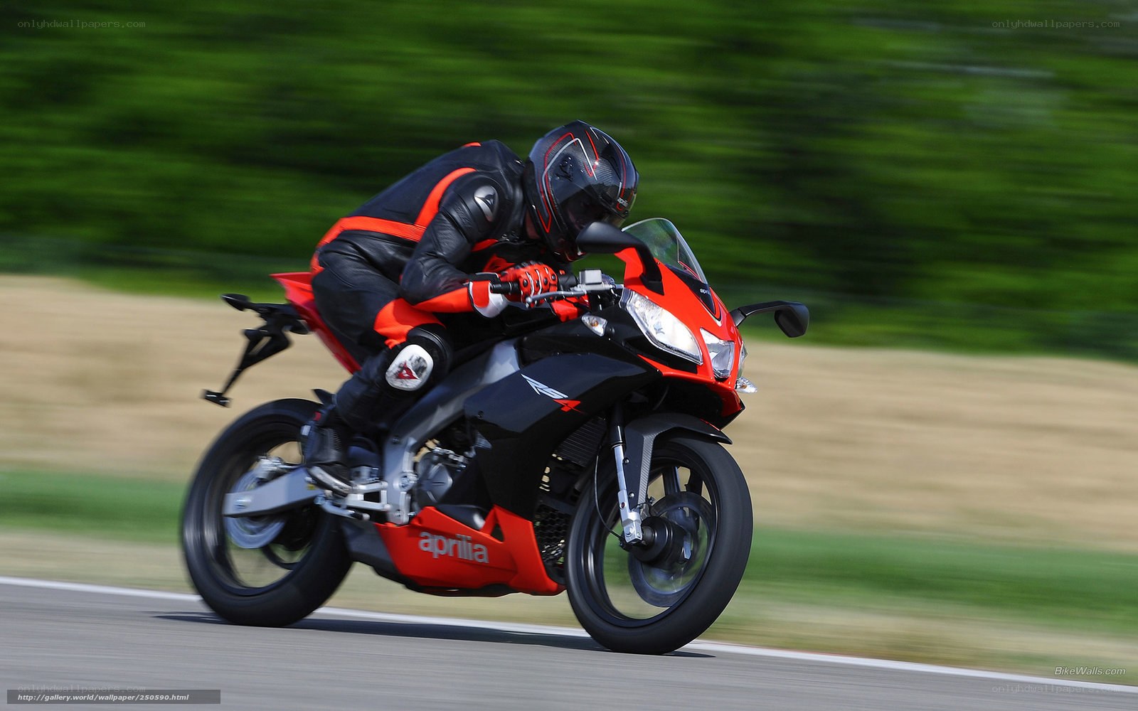 Racing motorcycle on track