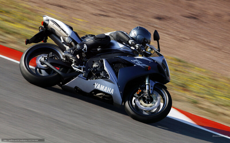 Racing Motorcycle on Track — Blue, Dynamic, Afternoon, Photograph, Rider, Helmet