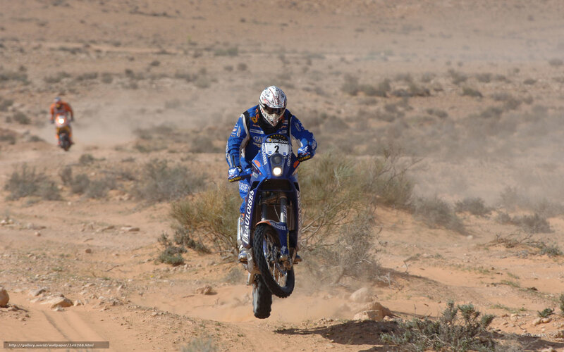 Racing Motorcyclist — Blue, Action-packed