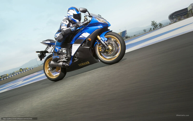 Racing Motorcyclist — Blue, Dynamic, Afternoon, Photograph, Motorcycle, Racetrack