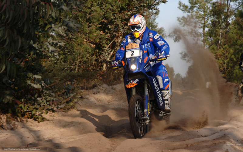 Racing Motorcyclist — Blue, Dynamic, Afternoon