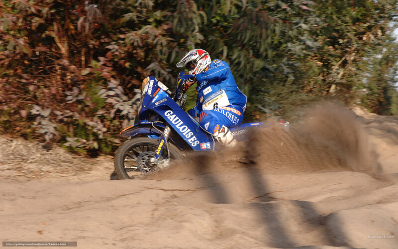 Racing Motorcyclist — Blue, Dynamic