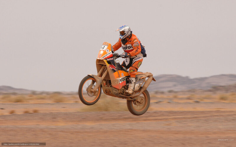 Racing Motorcyclist — Orange, Dynamic