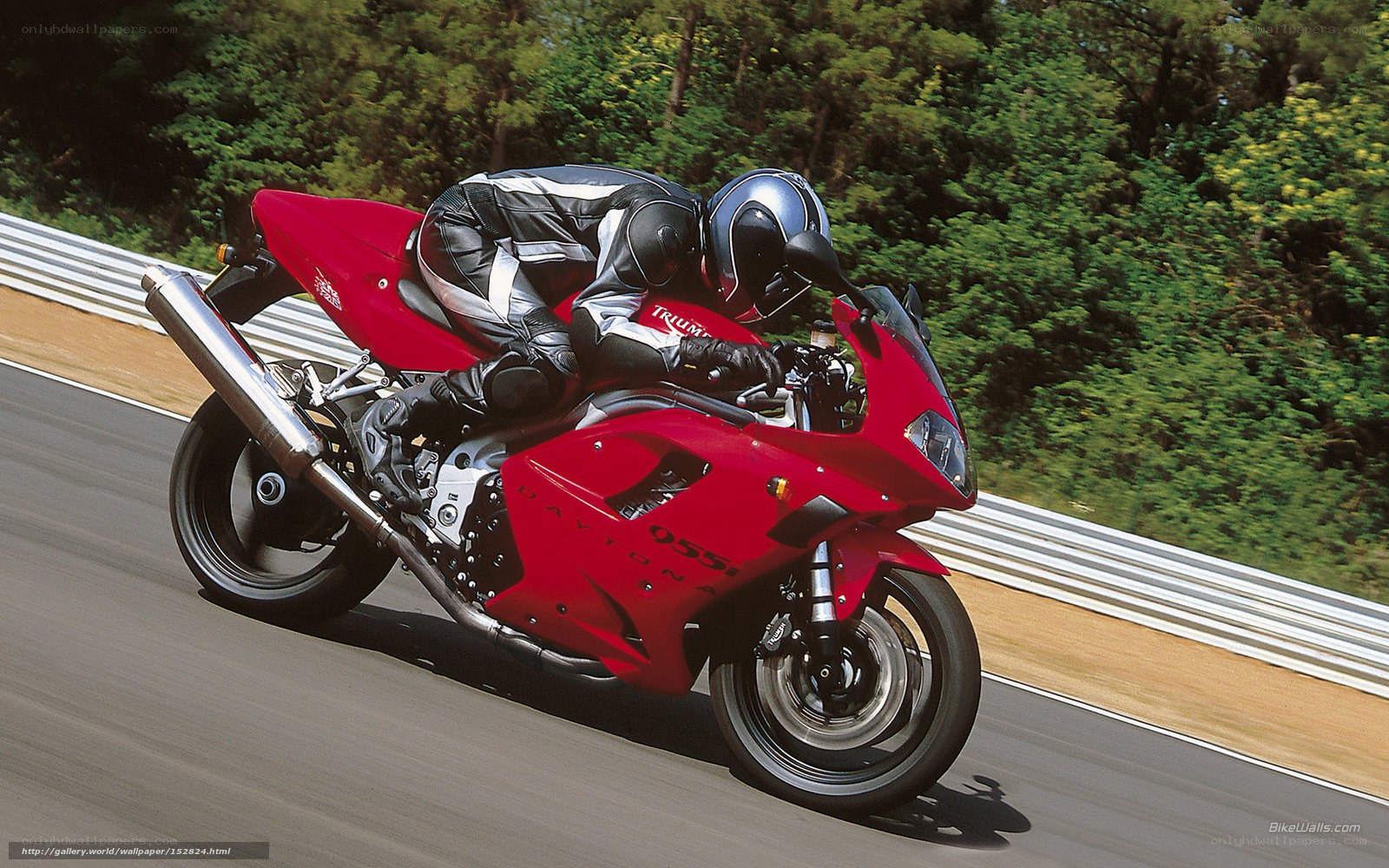 racing red motorcycle on track