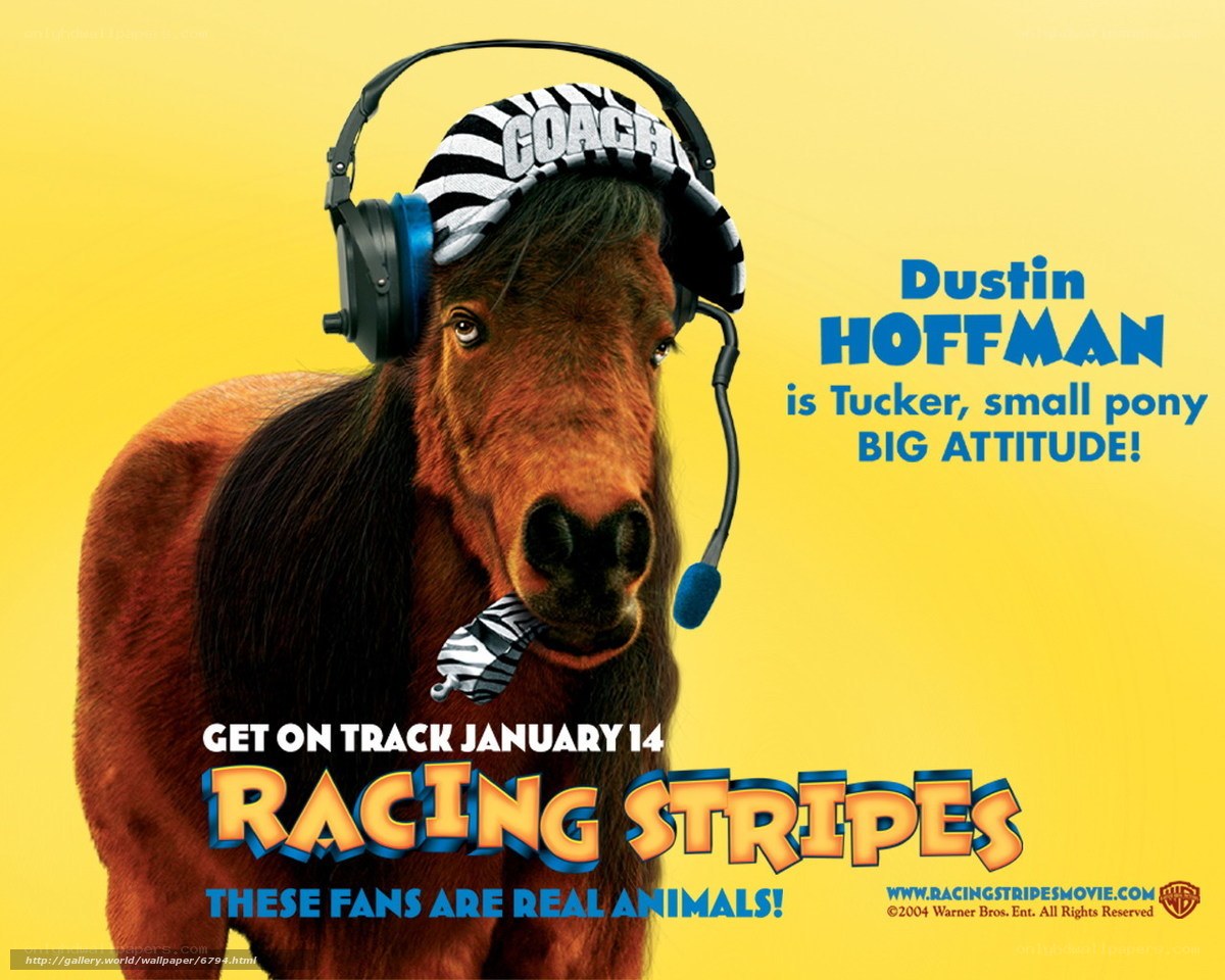 Racing Stripes movie poster