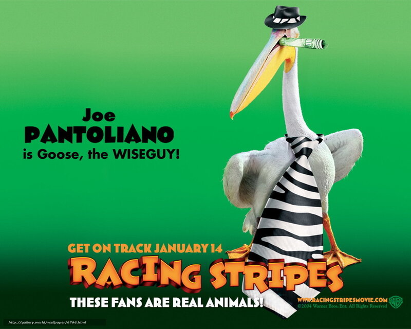 Racing Stripes movie poster