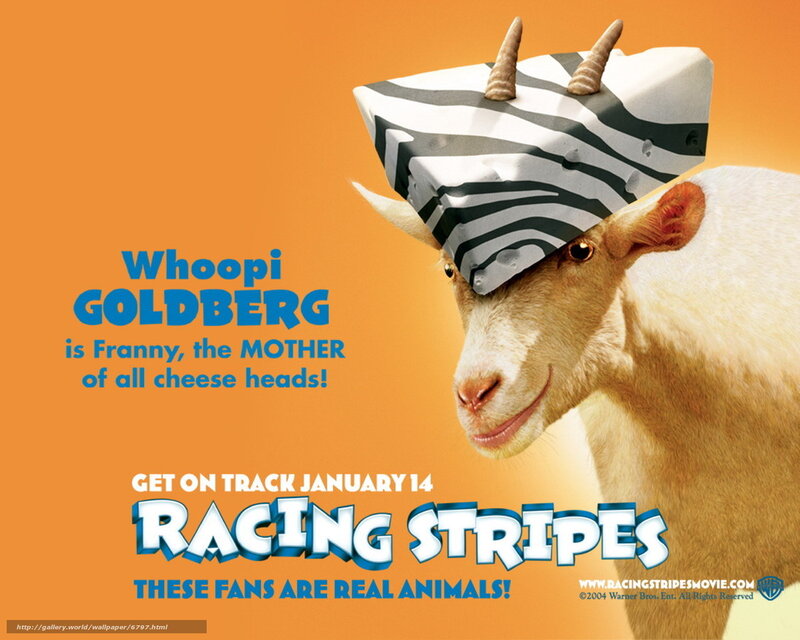 Racing Stripes movie poster