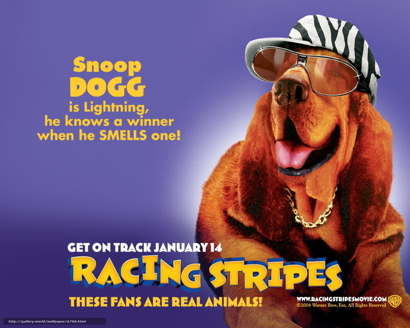 Racing Stripes movie poster