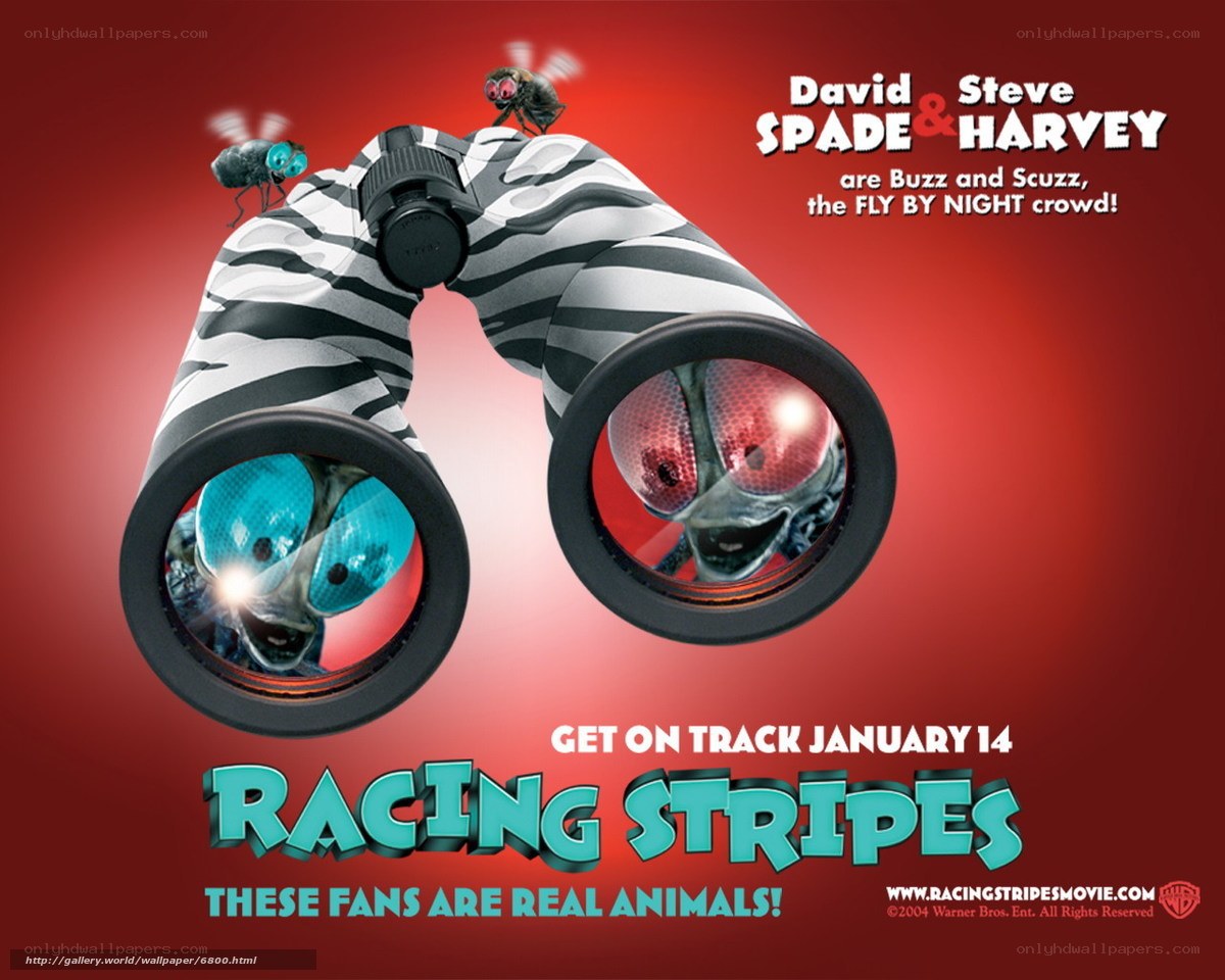 Racing Stripes movie poster