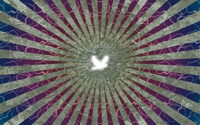 radiant dove of peace