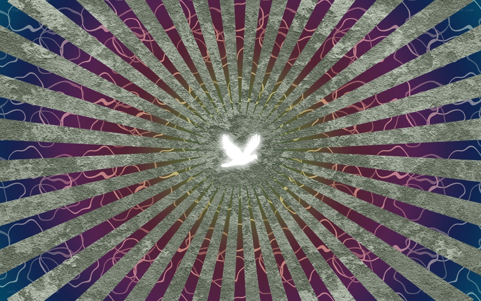 radiant dove of peace