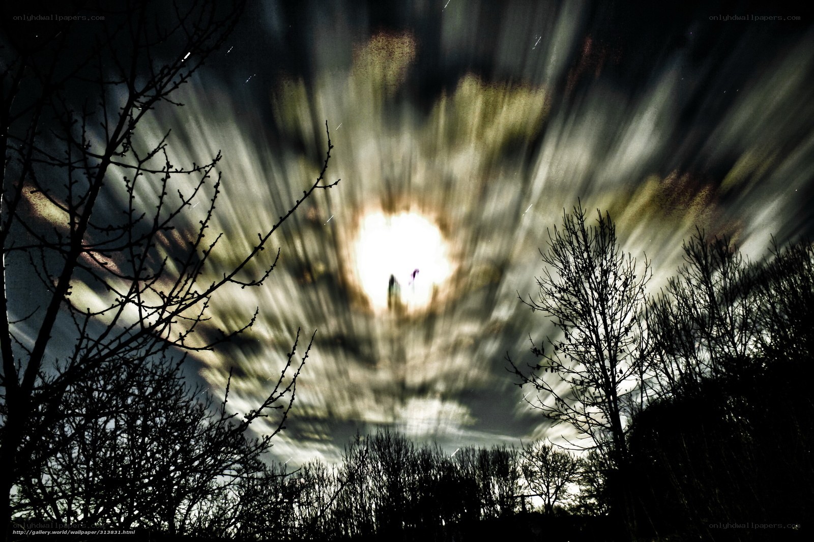 Radiant Sky Over Silhouetted Trees