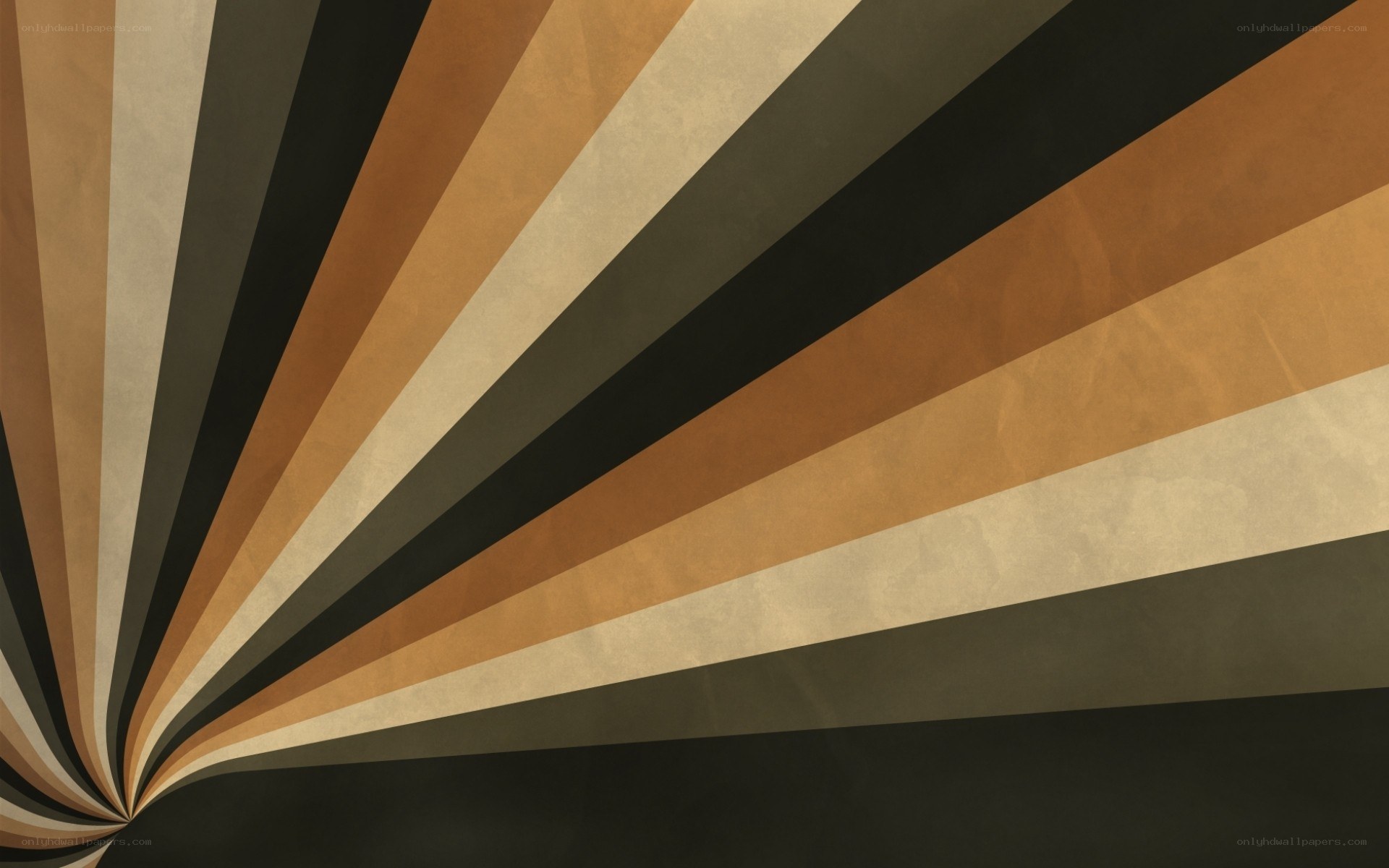 radiating brown and black stripes