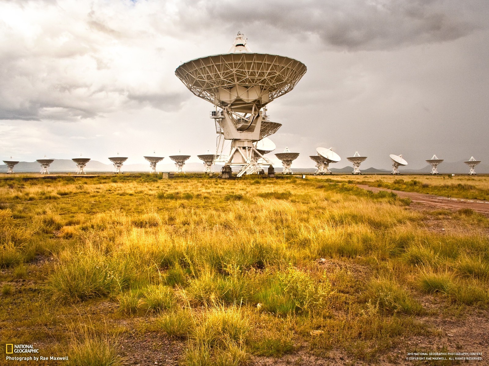 Radio telescopes in a field