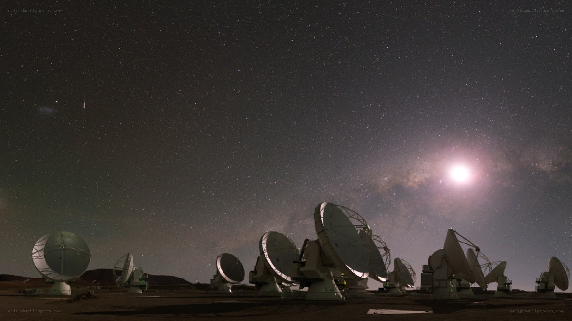 Radio telescopes under starry sky