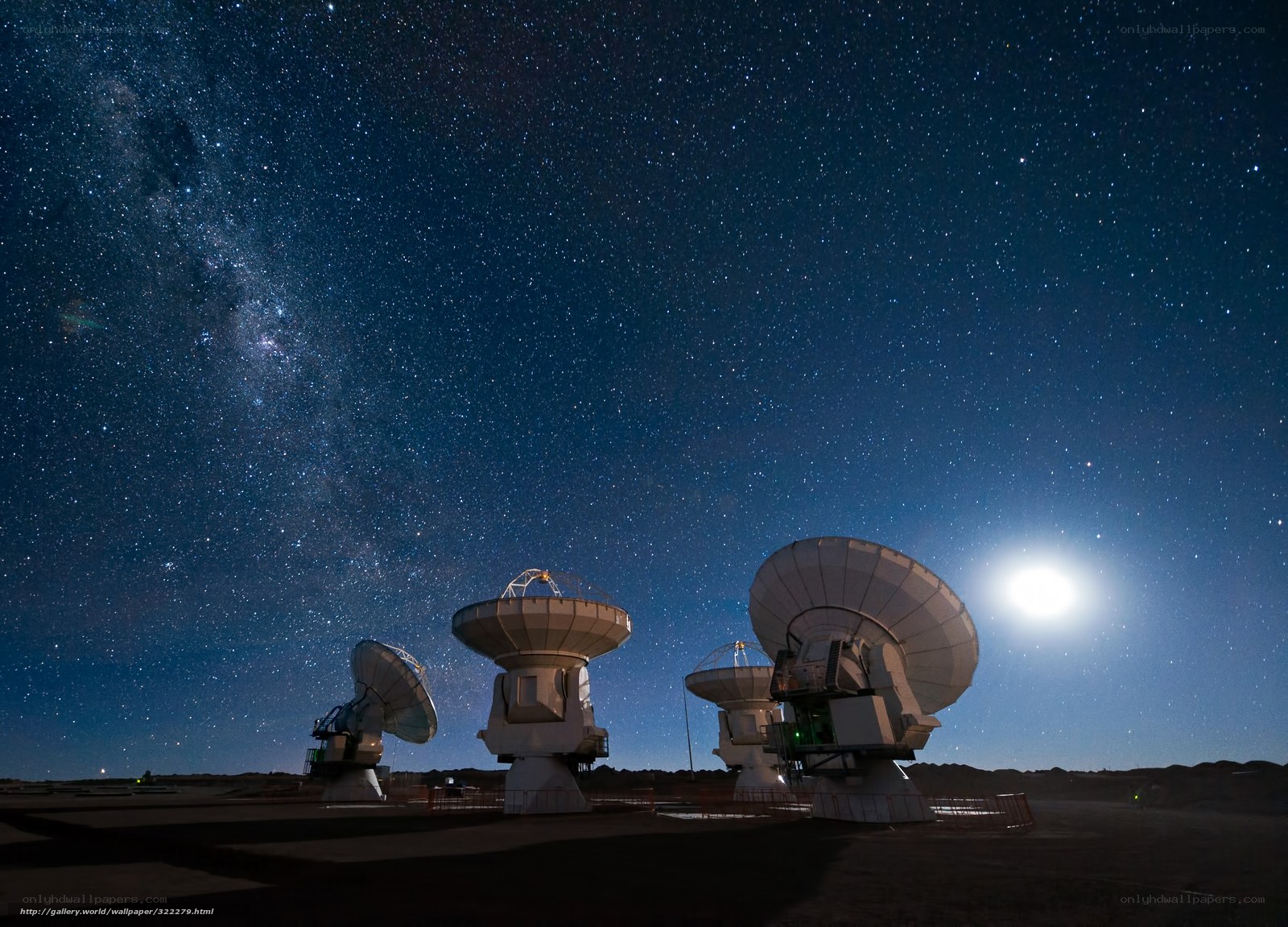 Radio telescopes under starry sky
