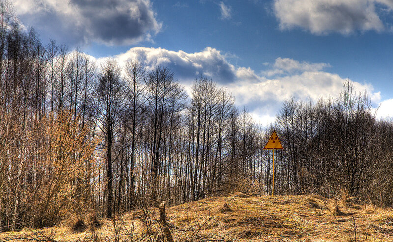 Radioactive warning sign in forest