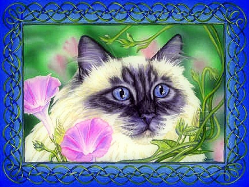 Ragdoll Cat with Flowers