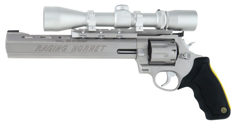 Raging Hornet revolver with scope
