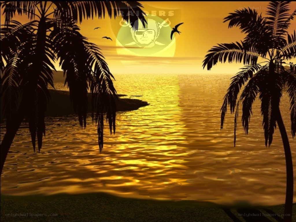 Raiders logo at sunset
