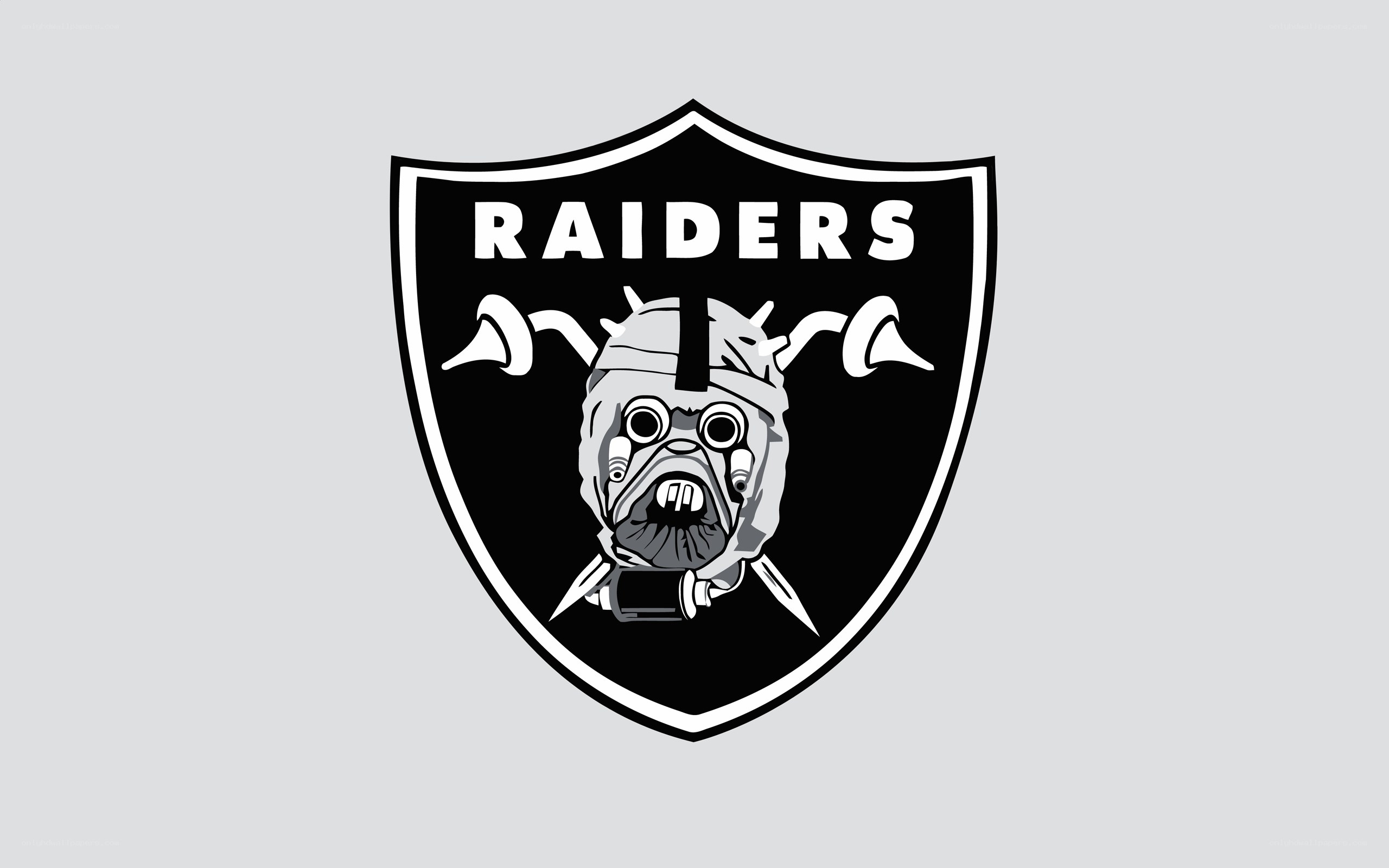 Raiders team logo