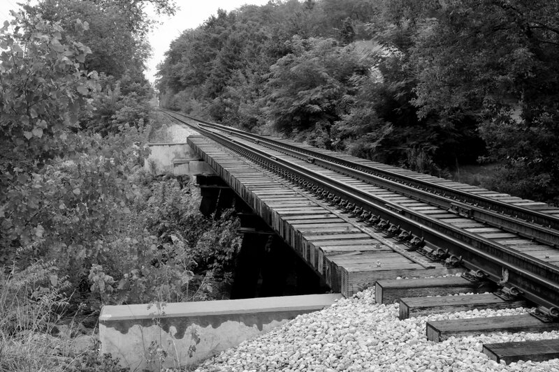 Railroad Bridge in Forest