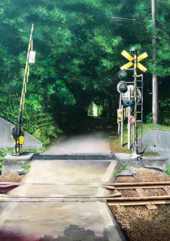 Railroad Crossing in Forest