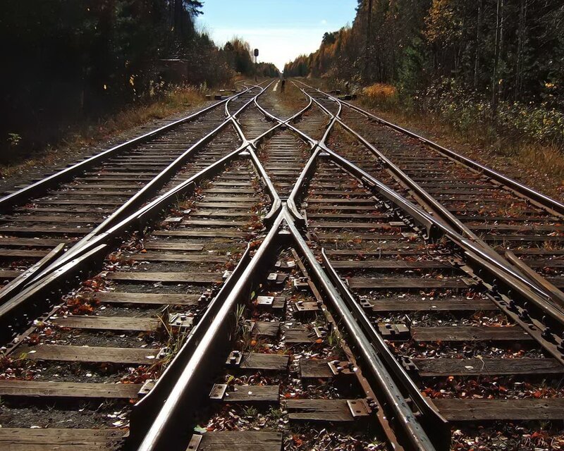 Railroad Switch in Forest