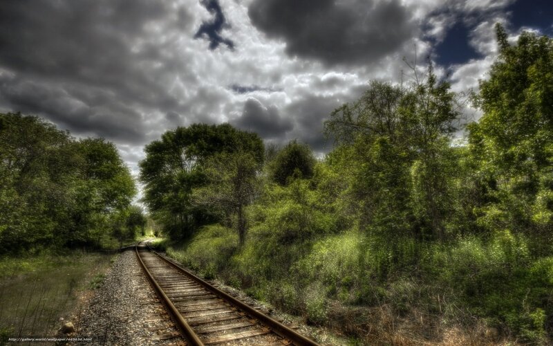 Railroad track through forest