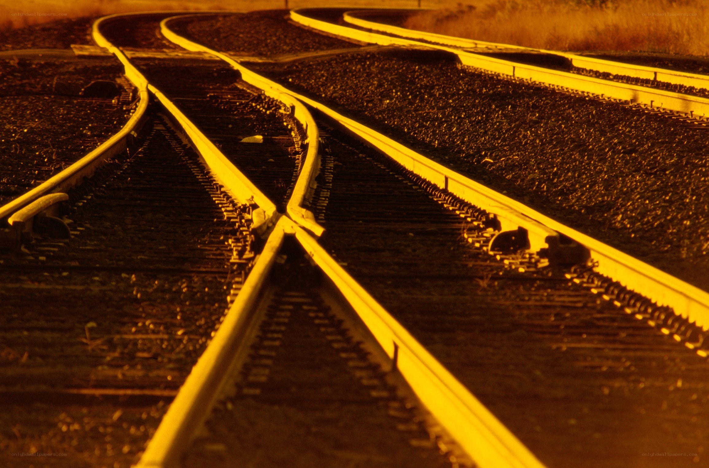 Railroad tracks at sunset
