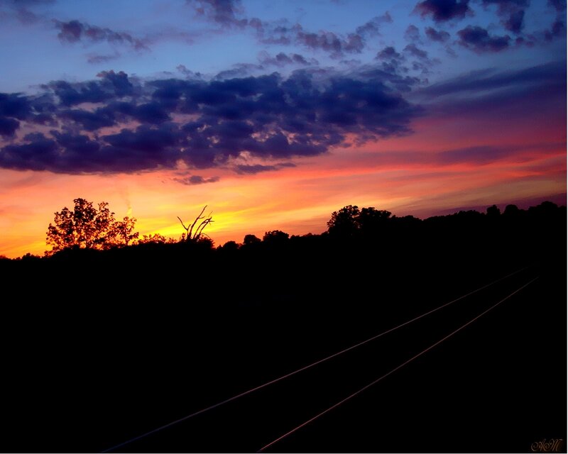 Railroad Tracks at Sunset — Orange, Dramatic, Photograph, Trees, Sky