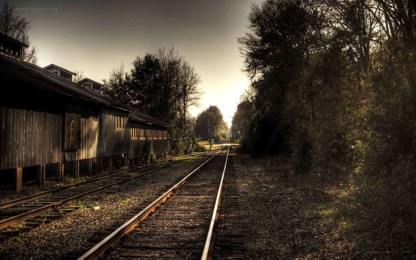 railroad tracks at sunset