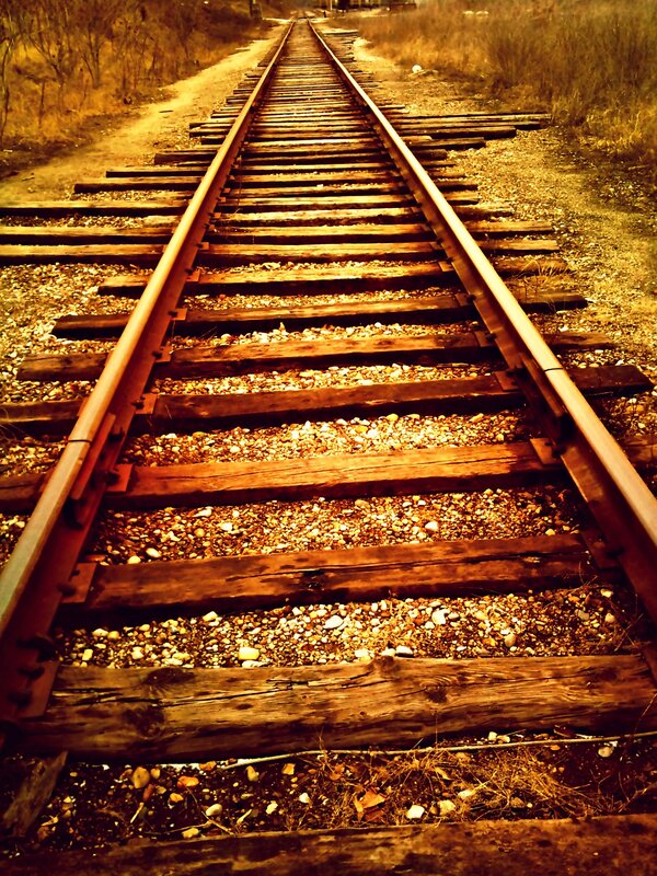 Railroad Tracks — Brown, Desolate