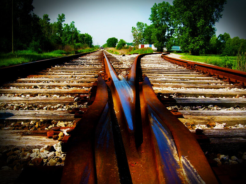 Railroad tracks converge in countryside