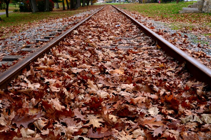 Railroad Tracks Covered in Leaves — Brown
