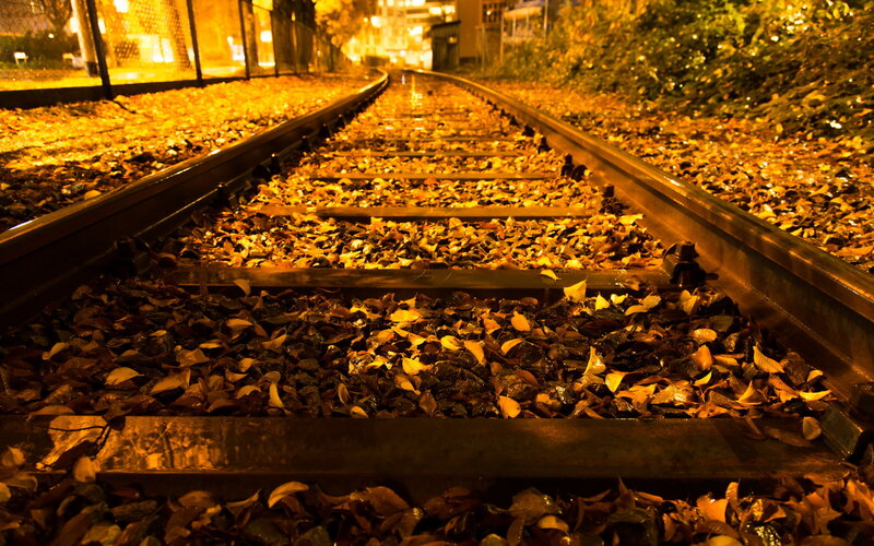 Railroad Tracks Covered in Leaves
