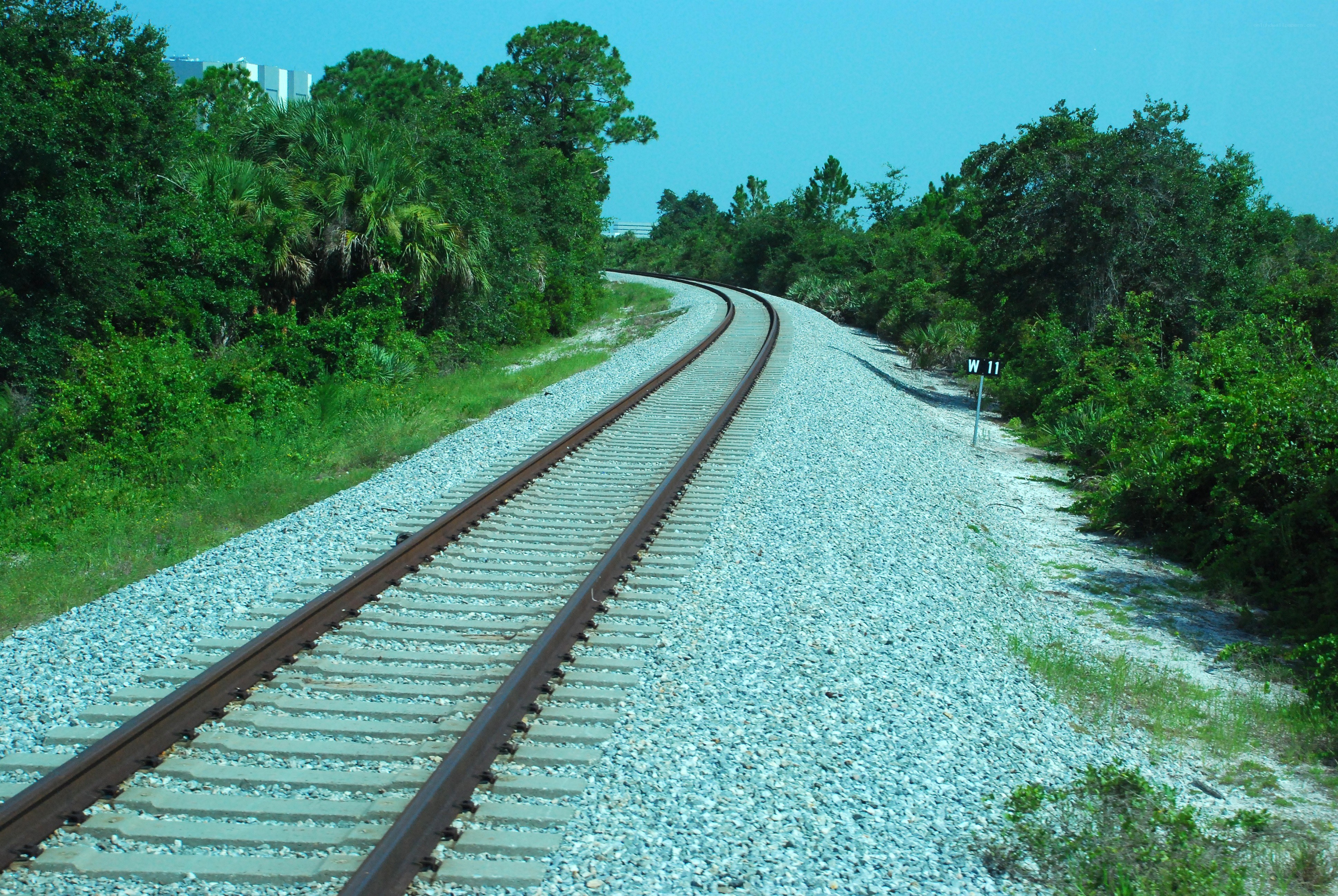 Railroad tracks in a forest