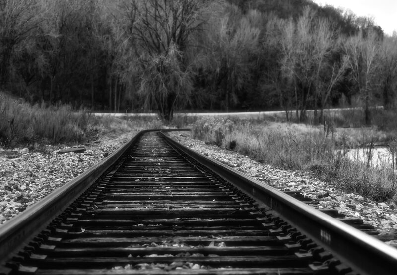 railroad tracks in a forest