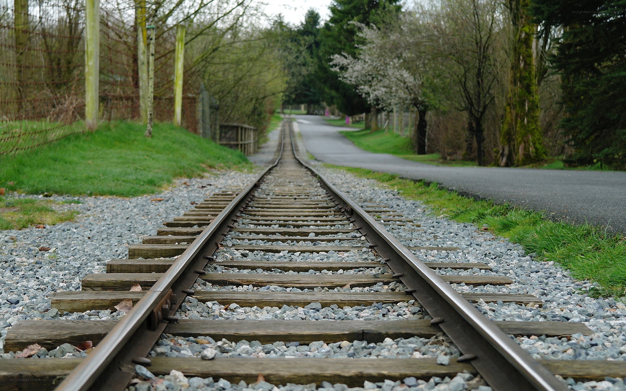 Railroad tracks in a park