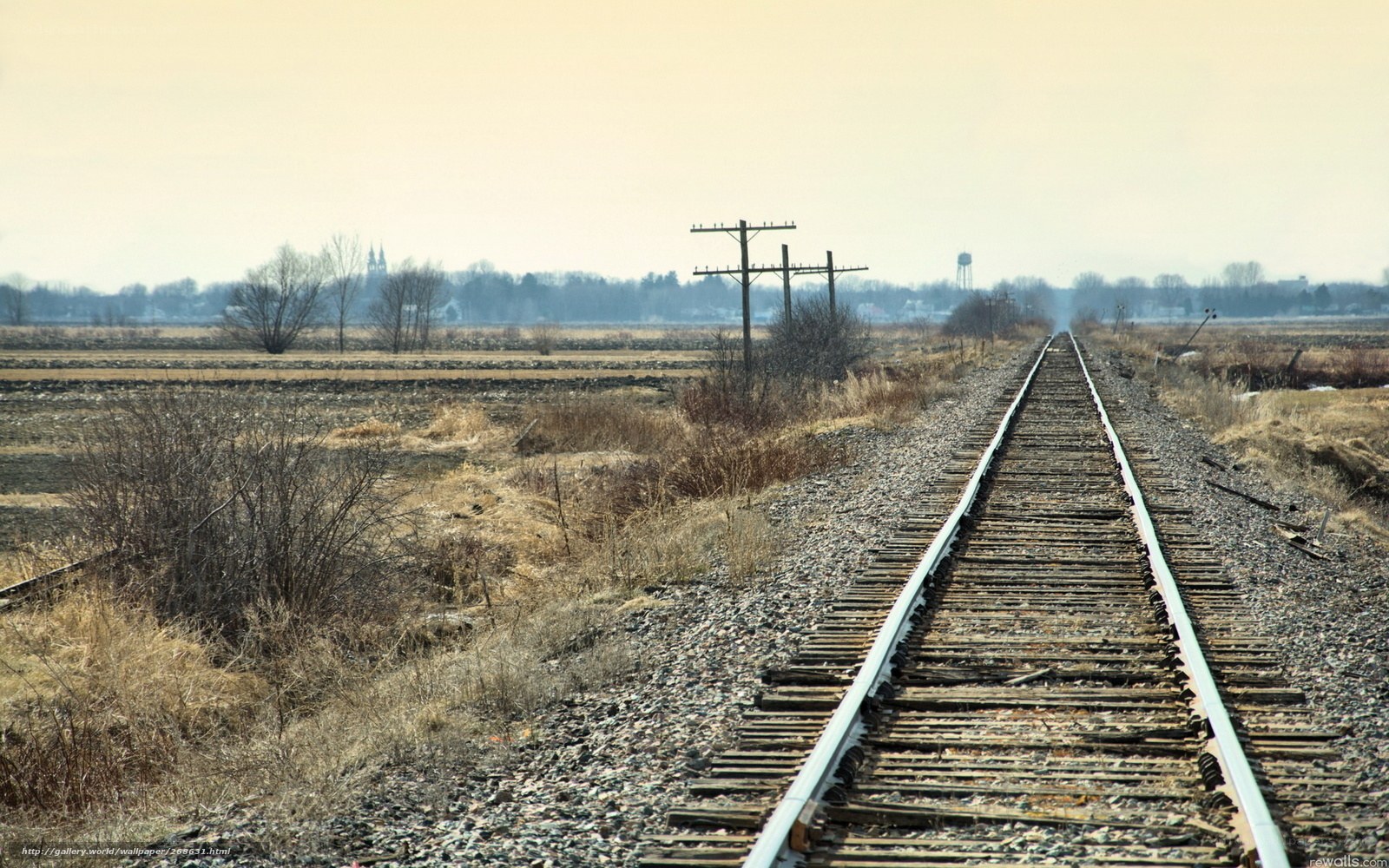 Railroad tracks in a rural landscape