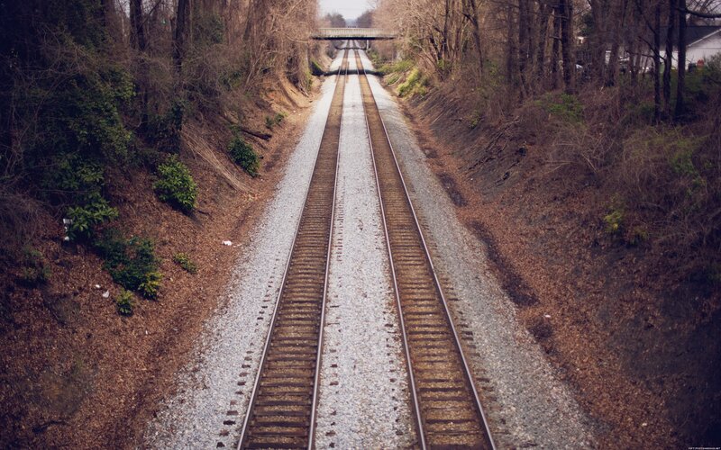 Railroad tracks in a wooded area