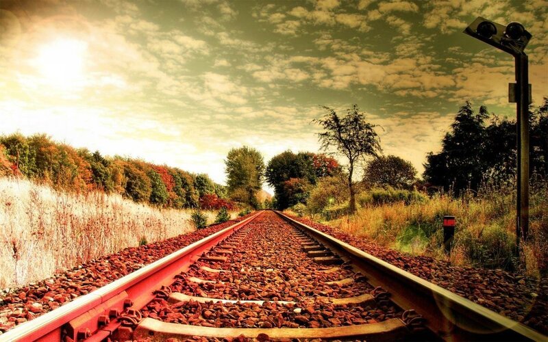 Railroad Tracks in Autumn — Brown